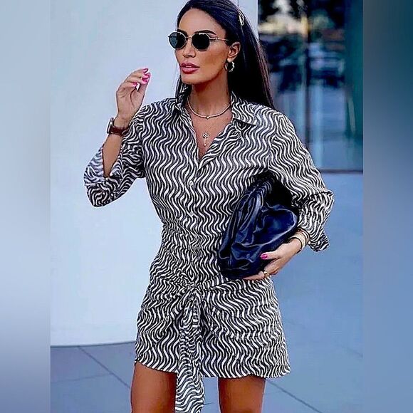 ZARA • BLOGGER FAVORITE • The Zoe Dress Printed Size S • NEW WITH TAGS • - Picture 3 of 16